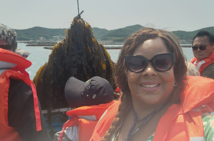  An inspirational Seaweed Journey